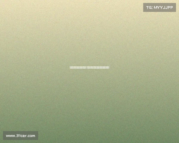 英超历史最年轻球员诞生 令人瞩目的足球新星展现无限潜力